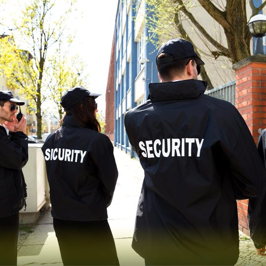 Guardix security services